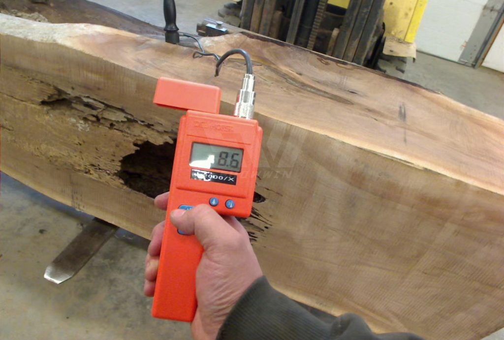 Wood Moisture Test Oak MC test