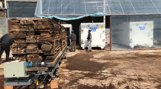 ready for drying ready for drying